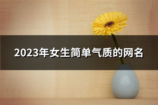 2023年女生简单气质的网名(共1725个)