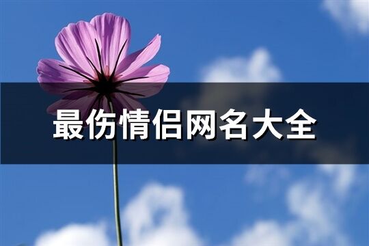 最伤情侣网名大全(共131个)