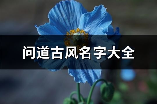 问道古风名字大全(精选659个)