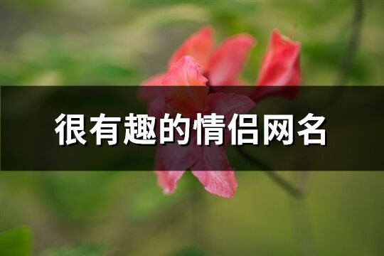 很有趣的情侣网名(精选162个)