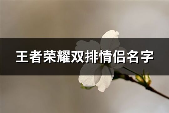 王者荣耀双排情侣名字(65个)