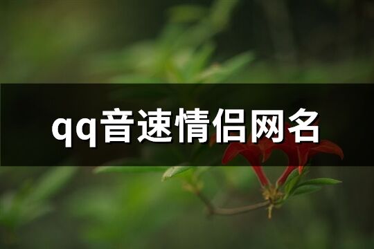 qq音速情侣网名(共63个)