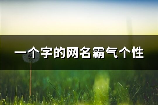 一个字的网名霸气个性(共384个)