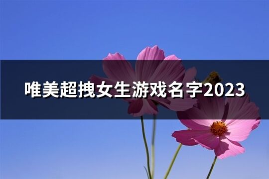 唯美超拽女生游戏名字2023(50个)