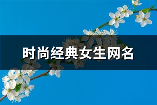 时尚经典女生网名(共114个)