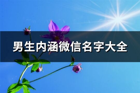 男生内涵微信名字大全(精选778个)