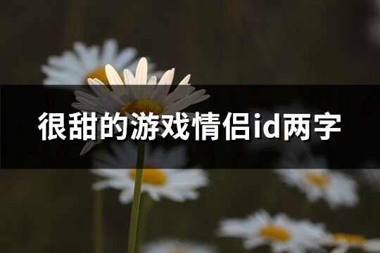 很甜的游戏情侣id两字(共332个)