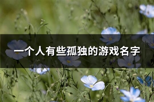 一个人有些孤独的游戏名字(共226个)