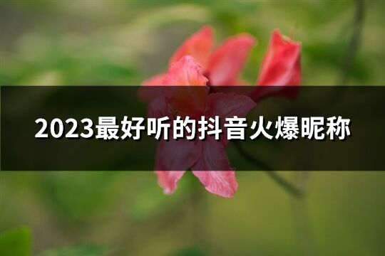 2023最好听的抖音火爆昵称(共1115个)