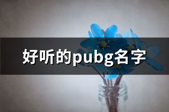 好听的pubg名字(精选1137个)