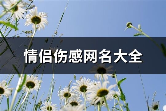 情侣伤感网名大全(共63个)