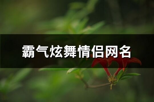 霸气炫舞情侣网名(精选144个)