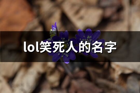 lol笑死人的名字(共493个)