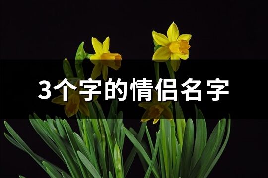 3个字的情侣名字(共124个)