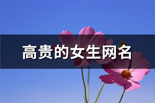 高贵的女生网名(538个)