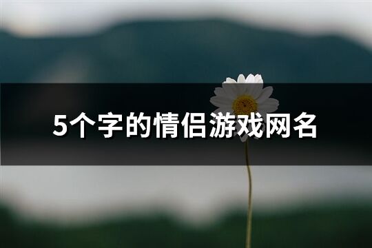 5个字的情侣游戏网名(共617个)