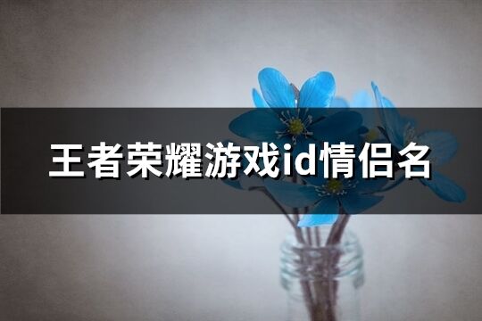 王者荣耀游戏id情侣名(精选170个)