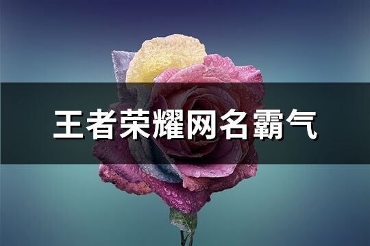 王者荣耀网名霸气(共200个)