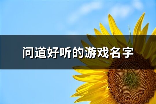 问道好听的游戏名字(精选443个)