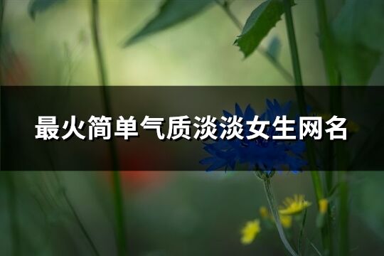 最火简单气质淡淡女生网名(共1217个)