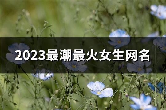 2023最潮最火女生网名(共1092个)