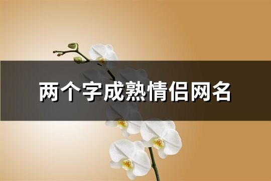 两个字成熟情侣网名(共186个)