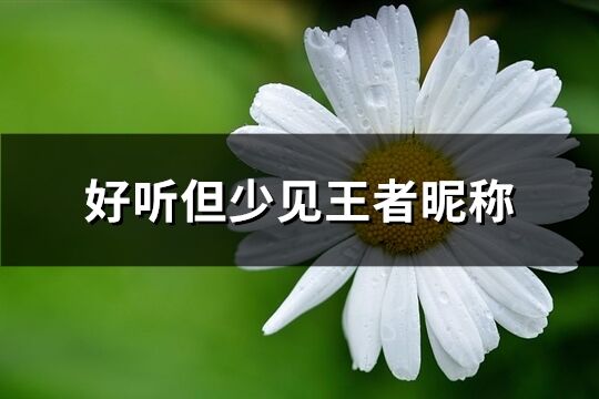 好听但少见王者昵称(共197个)