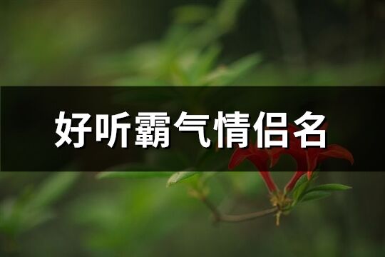 好听霸气情侣名(共435个)