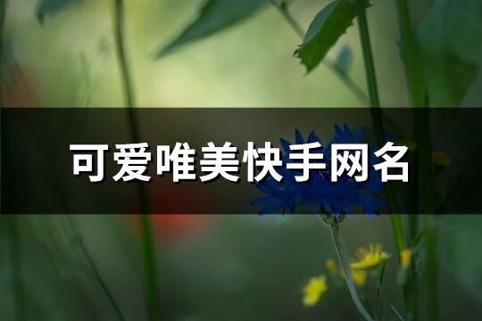 可爱唯美快手网名(共307个)