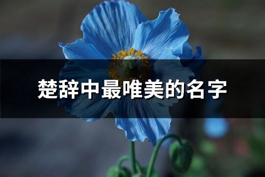 楚辞中最唯美的名字(159个)