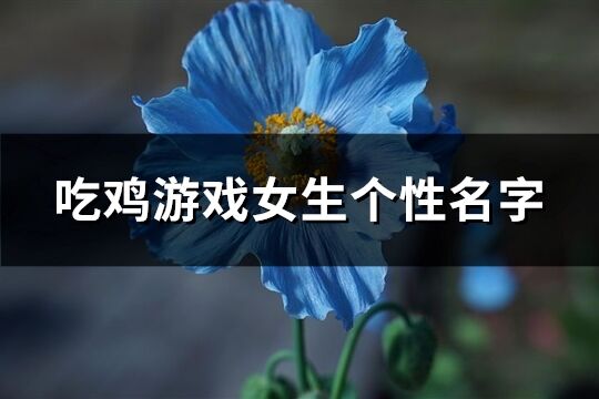 吃鸡游戏女生个性名字(共735个)