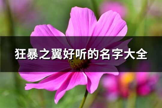 狂暴之翼好听的名字大全(精选253个)