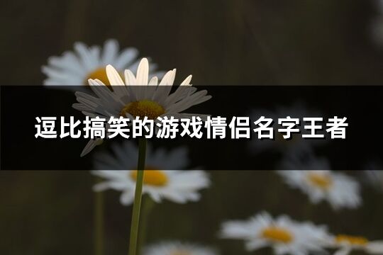 逗比搞笑的游戏情侣名字王者(共87个)