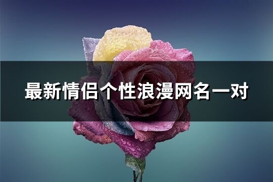 最新情侣个性浪漫网名一对(精选213个)