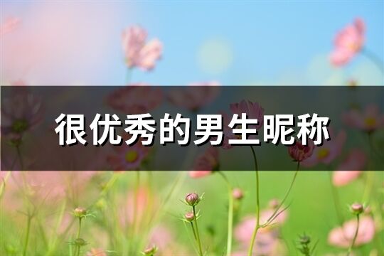 很优秀的男生昵称(共767个)