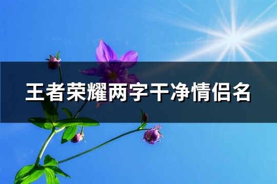 王者荣耀两字干净情侣名(264个)