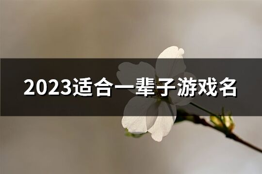 2023适合一辈子游戏名(共237个)