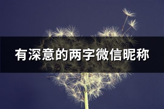 有深意的两字微信昵称(共1521个)