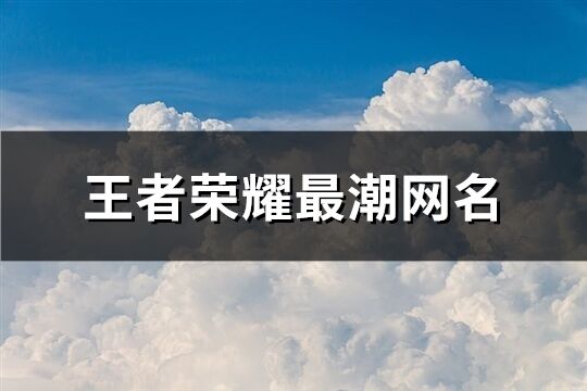 王者荣耀最潮网名(共519个)