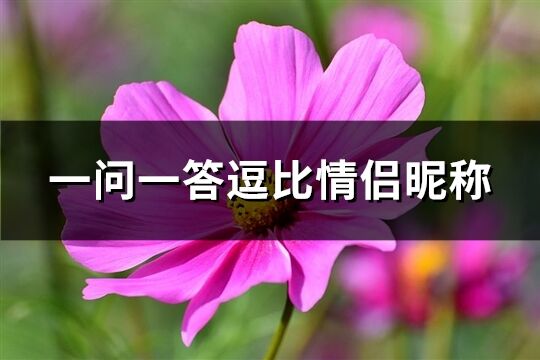 一问一答逗比情侣昵称(精选64个)