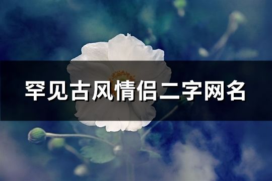 罕见古风情侣二字网名(102个)