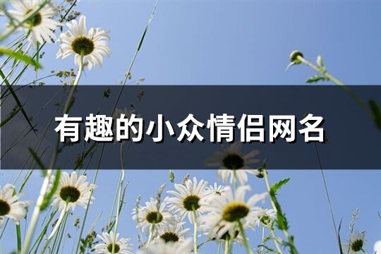 有趣的小众情侣网名(精选121个)