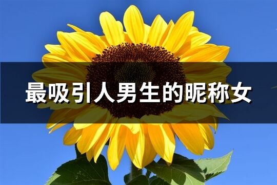 最吸引人男生的昵称女(共190个)