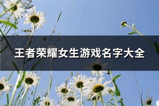 王者荣耀女生游戏名字大全(共469个)