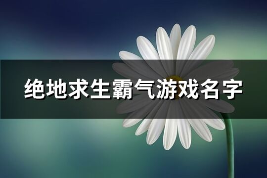 绝地求生霸气游戏名字(共202个)