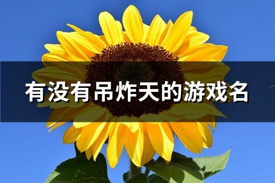 有没有吊炸天的游戏名(111个)