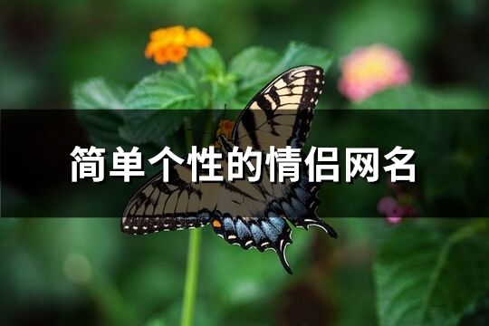 简单个性的情侣网名(70个)