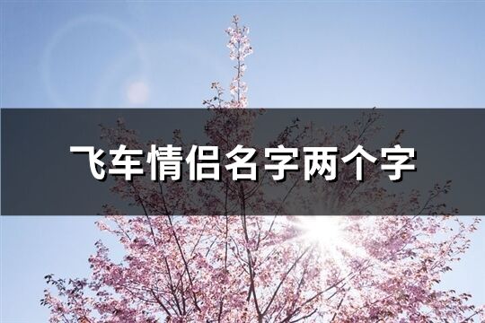 飞车情侣名字两个字(共75个)