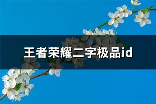 王者荣耀二字极品id(精选97个)