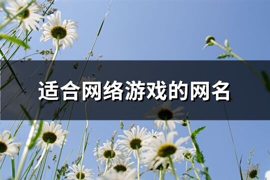 适合网络游戏的网名(共318个)